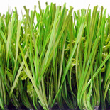 Artificial Grass3