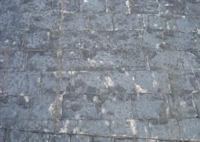 Rogues Gallery of Pattern Imprinted Concrete Jobs