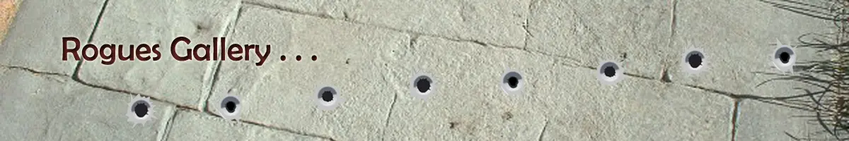 Rogues Gallery of Pattern Imprinted Concrete Jobs